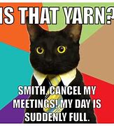 Image result for Office Work Cat Meme