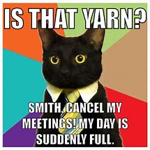 Image result for Corporate Cat Meme