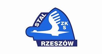 Image result for co_to_znaczy_zks_stal_rzeszów