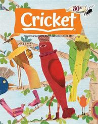 Image result for A Cricket Season for Kids