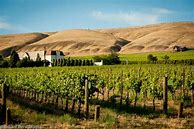 Image result for Hedges Family Estate Three Red Mountain