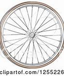 Image result for Bicycle Illustration
