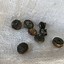 Image result for Antique Waistcoat Buttons