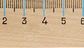 Image result for Measuring Length to Nearest Cm Worksheet
