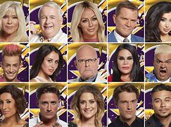 Image result for Big Brother UK Cast