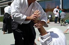 Image result for Aikido Painting