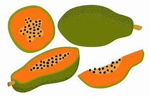 Image result for Papaya Cartoon