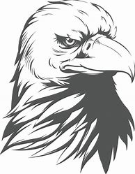 Image result for Bald Eagle Silhouette