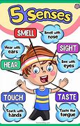 Image result for Five Senses Poster for Kids