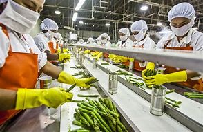 Image result for Food Manufacturing Industry
