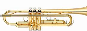 Image result for Trumpet Instruments
