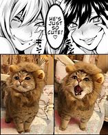 Image result for Anime Cat Meme