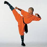 Image result for Karate Poses