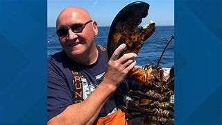 Image result for Largest Maine Lobster