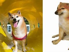 Image result for Dog Meme Philippines
