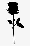 Image result for Single Rose Silhouette