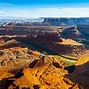Image result for Grand Canyon Tree 4K Wallpaper