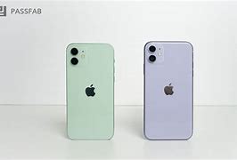 Image result for iPhone 12 Purple Vs. Green