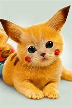 Image result for Cute Pikachu Cat PFP