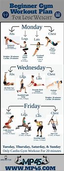 Image result for Simple Gym Workout Plan