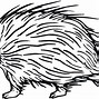 Image result for Porcupine Coloring Pages Printable
