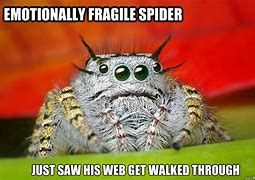 Image result for Sad Spider Meme