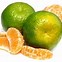 Image result for Green Orange Fruit
