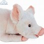 Image result for Pig-Out Toy
