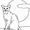 Image result for Cat Outline for Coloring