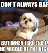 Image result for Dog Day Funny