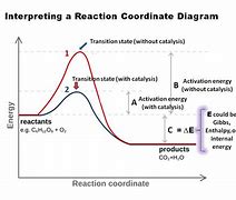 Image result for Energy Reaction Coordinate Diagram