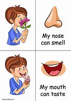 Image result for 5 Senses Smelling Activities