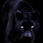 Image result for Black Panther Animal Memes
