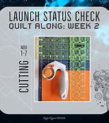 Image result for Launch Status Check
