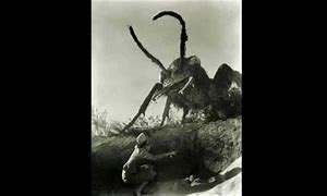 Image result for Giant Bug Movies