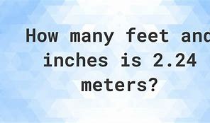 Image result for 24 Meters to Feet