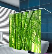 Image result for Bathroom Shower Curtain Hooks