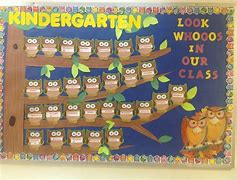 Image result for Kindergarten Owl Bulletin Boards