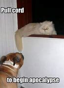 Image result for Funny Cat Words
