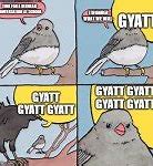 Image result for Russian Bird Meme
