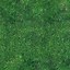 Image result for Grass iPhone Wallpaper