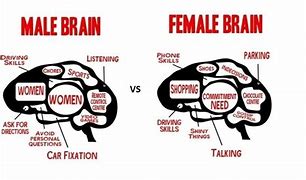 Image result for Woman's Brain Meme