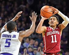 Image result for Trae Young Oklahoma