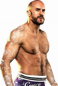 Image result for WWE 2K16 Cesaro