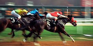 Image result for Horse Race Finish Line Clip Art