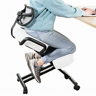 Image result for Desk Chair Back Support