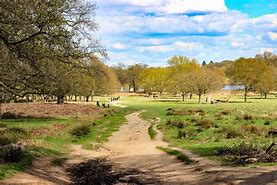 Image result for Richmond Park