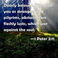 Image result for 1 Peter 2:11