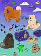 Image result for Bella Chow Wallpaper
