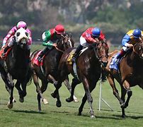 Image result for Horse Racing Wallpaper 2256 1504